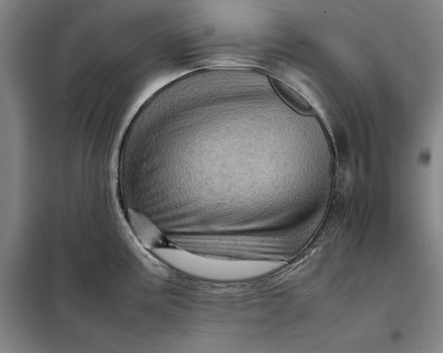 X0000098161195200805011423