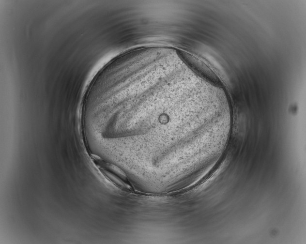 X0000098161196200805011423