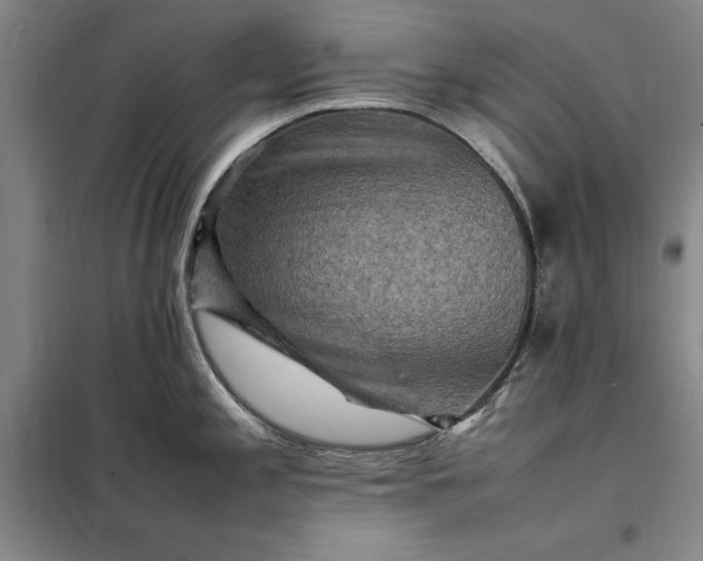 X0000098161197200805011423