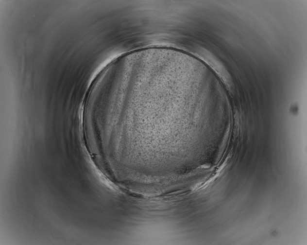 X0000098161198200805011423