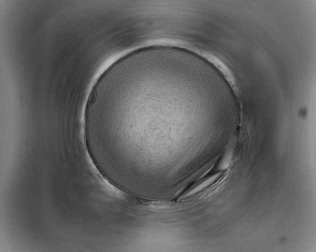 X0000098161199200805011423