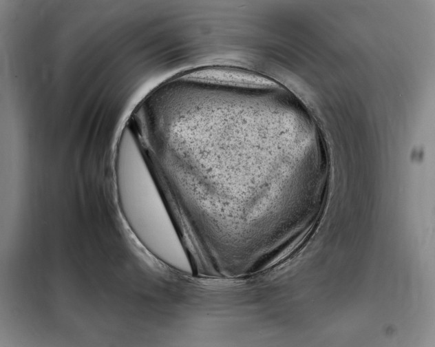 X0000098161200200805011423
