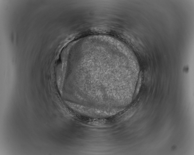 X0000098161201200805011422