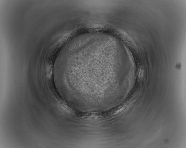 X0000098161204200805011422