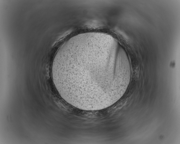 X0000098161205200805011422