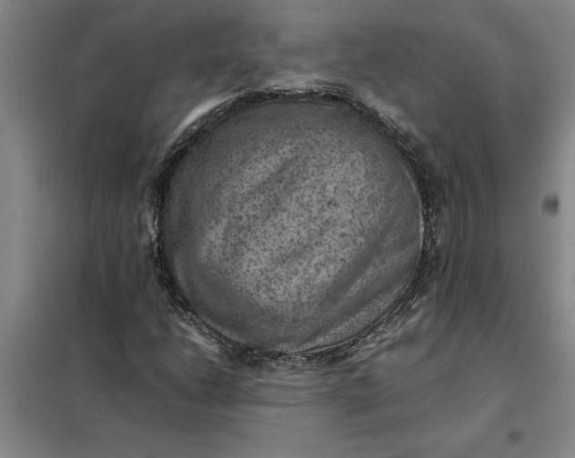 X0000098161206200805011422