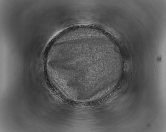 X0000098161208200805011422