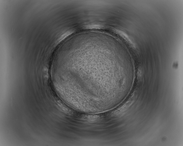 X0000098161209200805011422