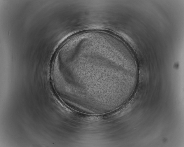 X0000098161212200805011422