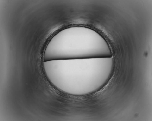 X0000098161213200805011422