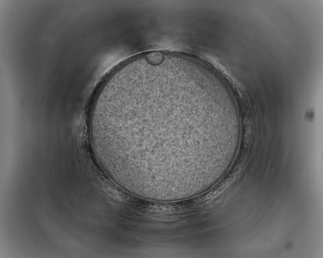 X0000098161215200805011422
