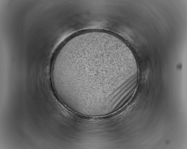 X0000098161216200805011423