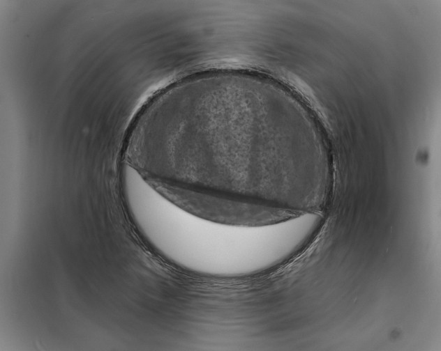 X0000098161218200805011423