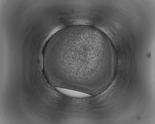 X0000098161219200805011423