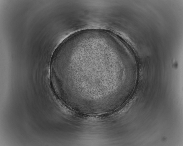 X0000098161220200805011423