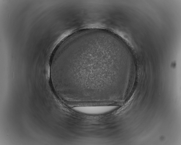 X0000098161221200805011423