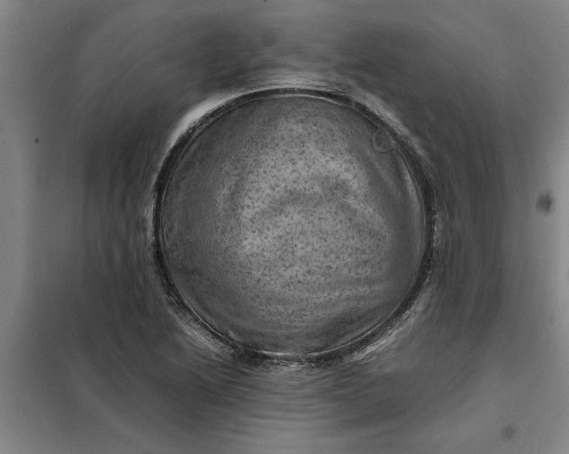 X0000098161222200805011423