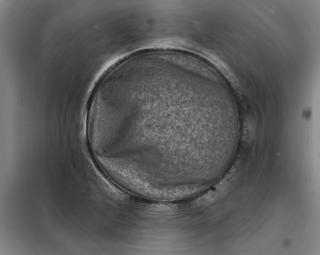 X0000098161224200805011423