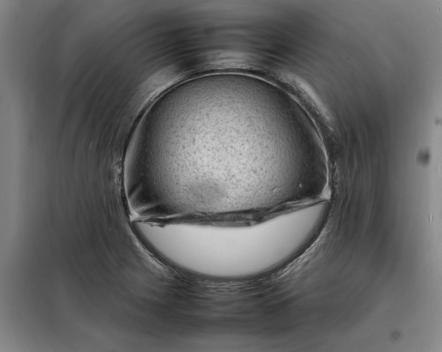 X0000098161225200805011423