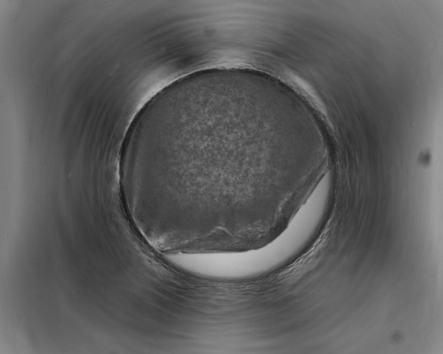 X0000098161226200805011423