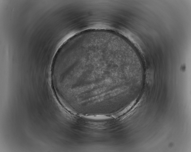X0000098161229200805011423