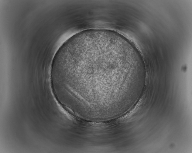 X0000098161231200805011423