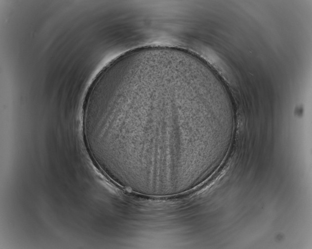 X0000098161232200805011423