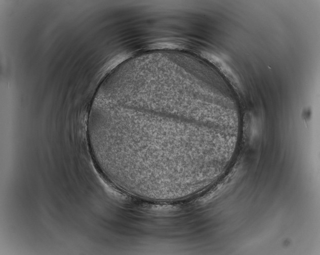 X0000098161233200805011423