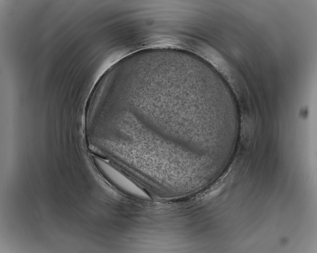 X0000098161234200805011423