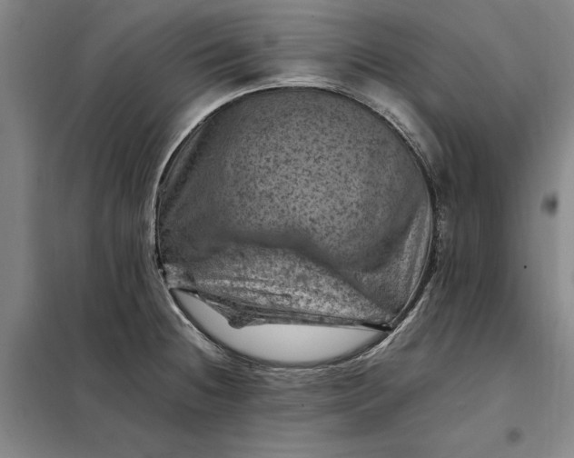 X0000098161236200805011423