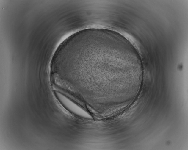 X0000098161238200805011423