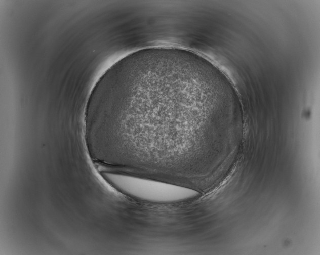 X0000098161239200805011423