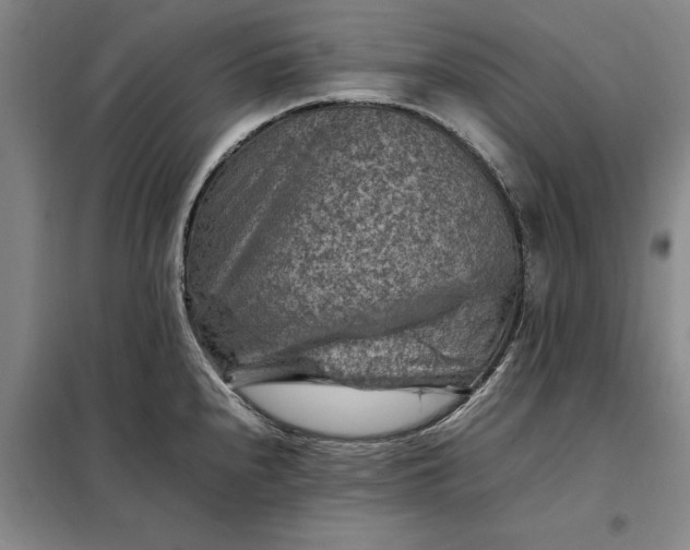 X0000098161240200805011423