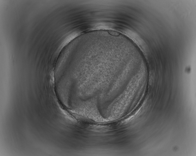X0000098161241200805011423