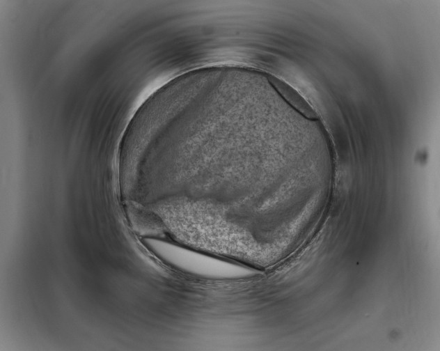 X0000098161242200805011423