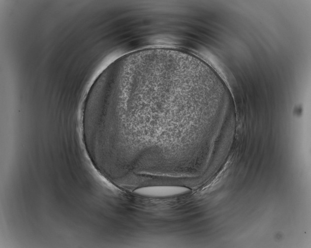 X0000098161243200805011423