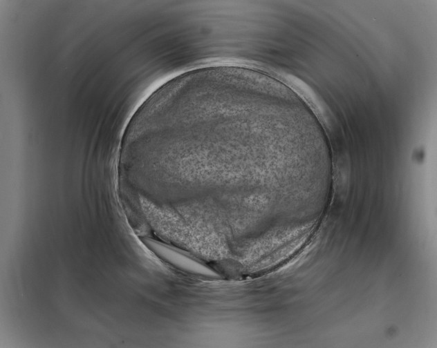X0000098161244200805011423