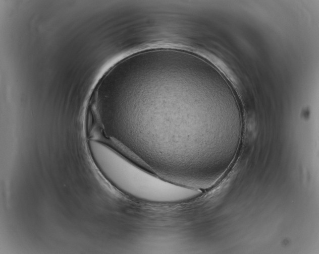 X0000098161246200805011423