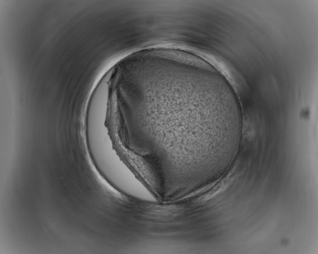 X0000098161247200805011423