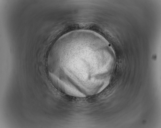 X0000098161249200805011422