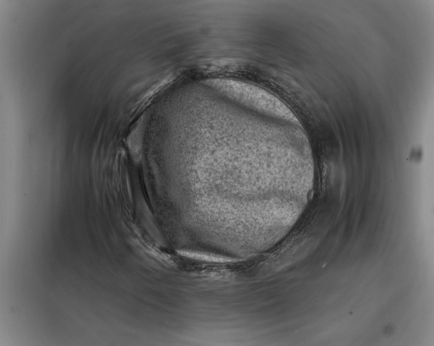 X0000098161250200805011422