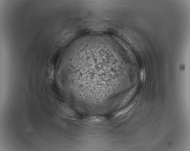 X0000098161251200805011422