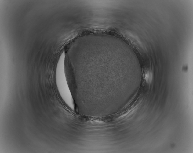 X0000098161252200805011422