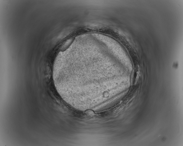 X0000098161253200805011422