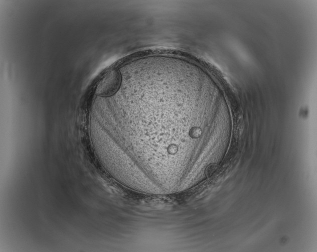 X0000098161255200805011422