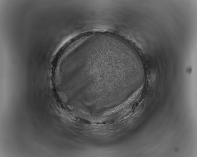 X0000098161256200805011422