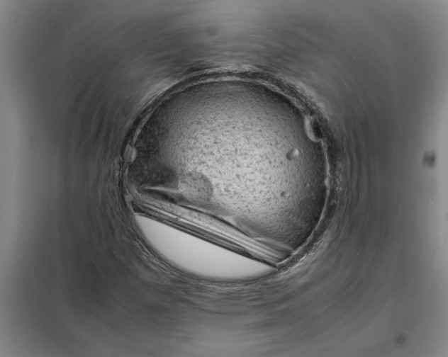 X0000098161257200805011422