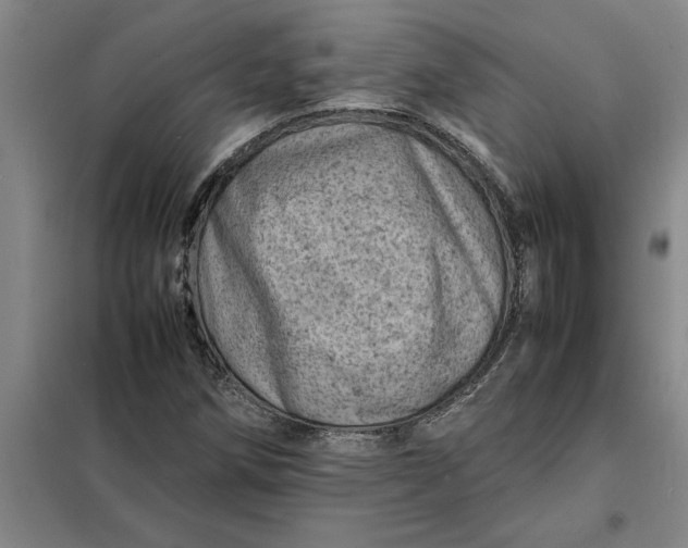 X0000098161258200805011422