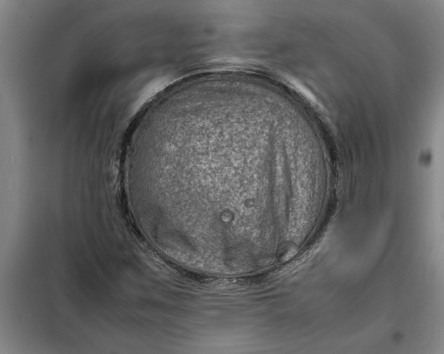 X0000098161259200805011422