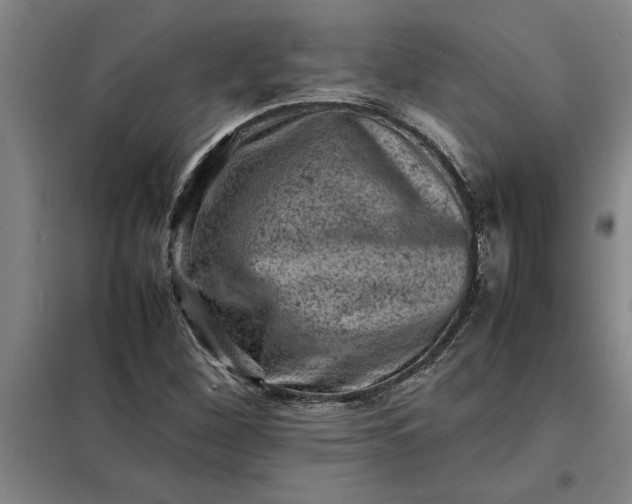 X0000098161260200805011422